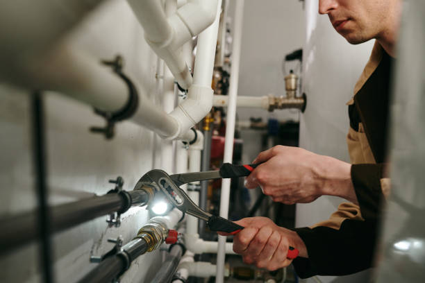 Best Affordable Plumbing Services  in Shelbyvle, IL
