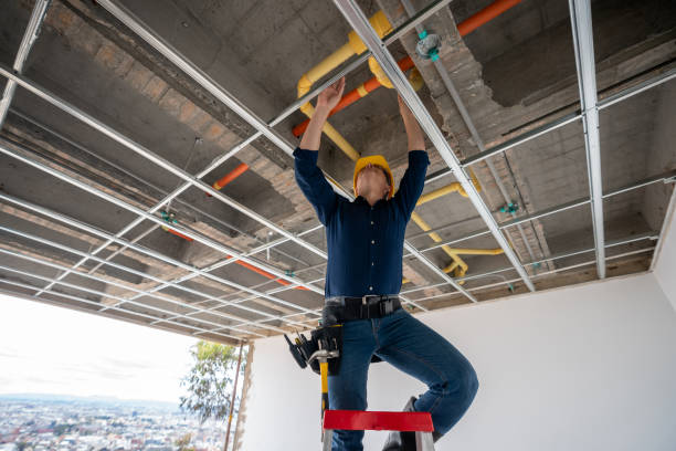 Best Commercial Plumbing Services  in Shelbyvle, IL