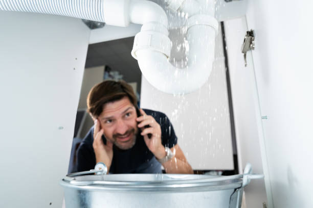 Best Local Plumber Services  in Shelbyvle, IL