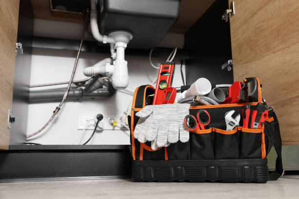 Best Clogged Drain Plumber  in Shelbyvle, IL