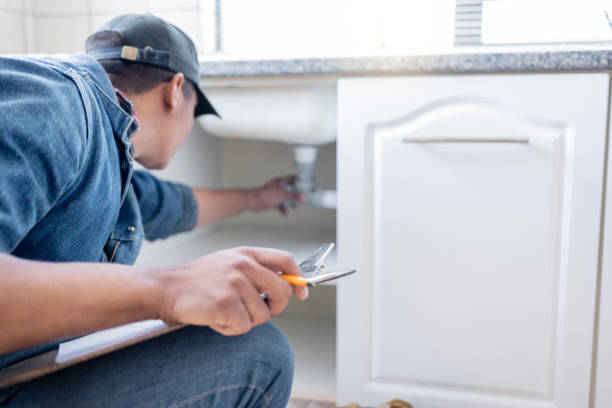 Best Emergency Plumber  in Shelbyvle, IL