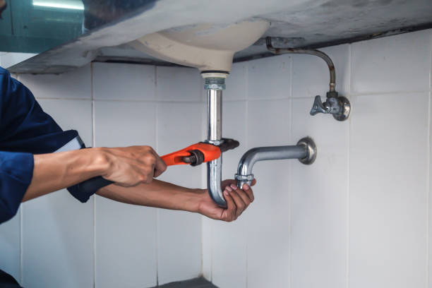 Best Affordable Plumbing Services  in Shelbyvle, IL