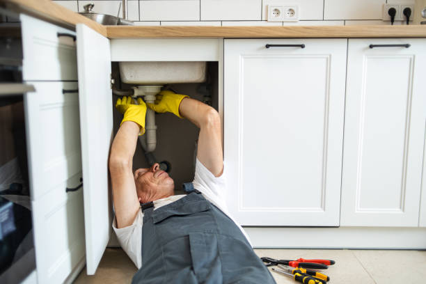 Best Same-Day Plumbing Service  in Shelbyvle, IL