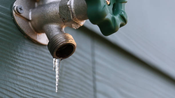 Best Water Heater Repair  in Shelbyvle, IL