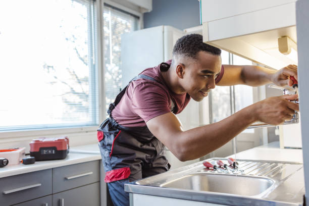 Best Water Leak Repair  in Shelbyvle, IL