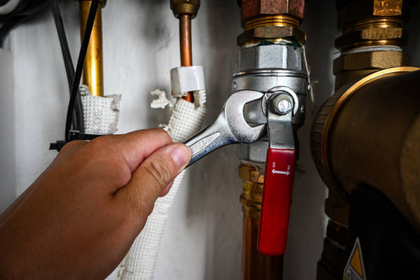 Best Sewer Line Repair  in Shelbyvle, IL